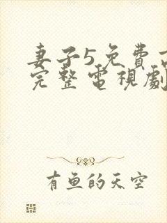 妻子5免费高清完整电视剧