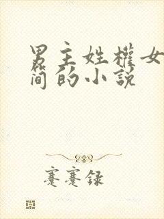 男主姓权女主姓简的小说