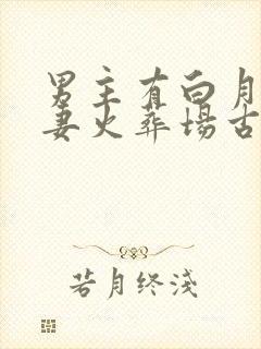 男主有白月光追妻火葬场古言