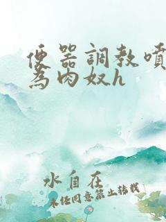 便器调教喷水沦为肉奴h