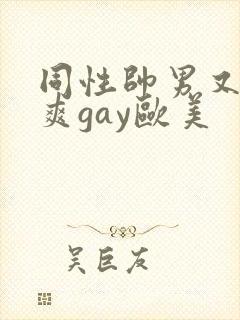 同性帅男又粗又爽gay欧美