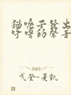 猫嗓子发出呼噜呼噜的声音