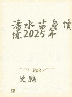 潘水苗身价多少亿2025年