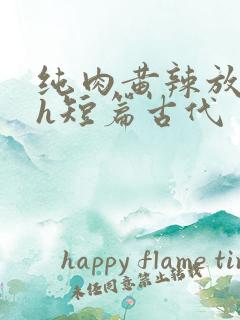 纯肉黄辣放荡高h短篇古代