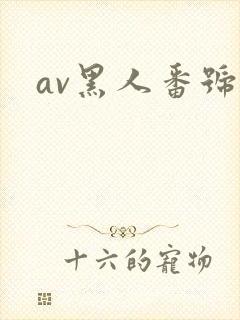 av黑人番号