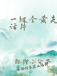 一级全黄夫妻生活片