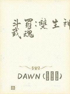 斗罗:双生神级武魂