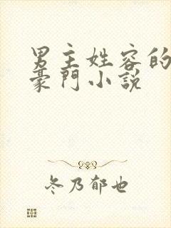 男主姓容的现代豪门小说