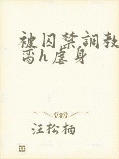 被囚禁调教成禁脔h虐身