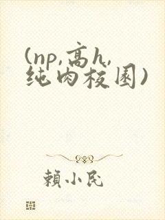 (np,高h,纯肉校园)