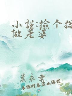 小说:捡个总裁做老婆