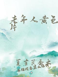 老年人黄色一级片