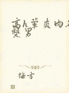 高h荤爽肉欲文双男