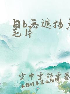 日b无遮挡免费毛片