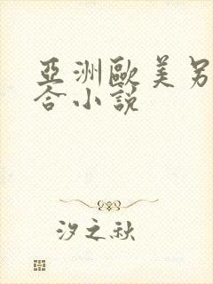 亚洲欧美另类综合小说