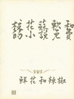 校花苏软和沈越的小说免费阅读