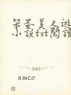 笨蛋美人逃婚后小说txt阅读