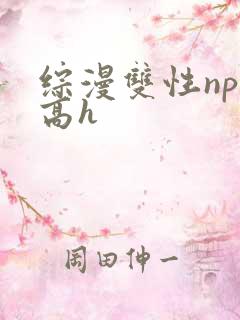 综漫双性np肉高h
