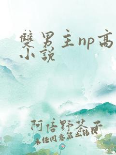 双男主np高h小说