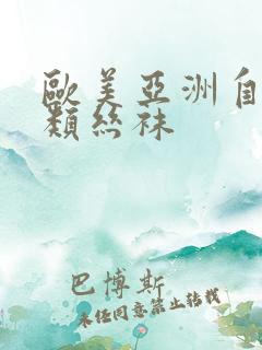 欧美亚洲自拍另类丝袜