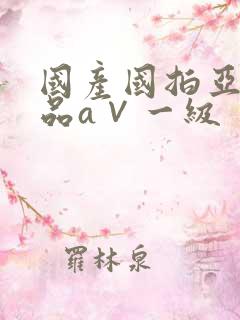 国产国拍亚洲精品a∨一级