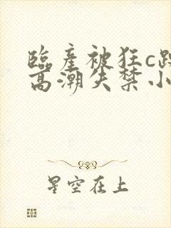 临产被狂c躁到高潮失禁小说