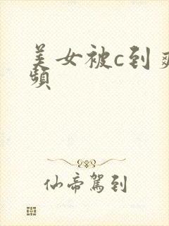 美女被c到爽视频