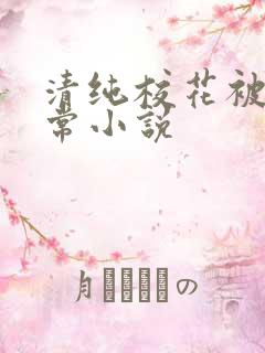 清纯校花被瘾日常小说