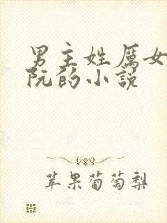 男主姓厉女主姓阮的小说