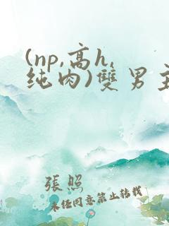 (np,高h,纯肉)双男主