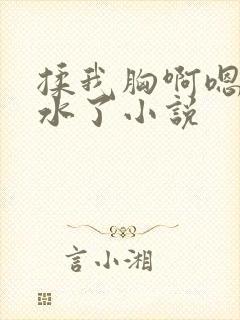 揉我胸啊嗯～喷水了小说