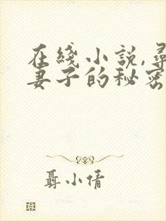 在线小说,寻找妻子的秘密