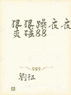 狠狠躁夜夜躁人爽碰88