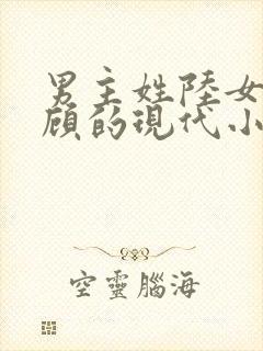 男主姓陆女主姓顾的现代小说