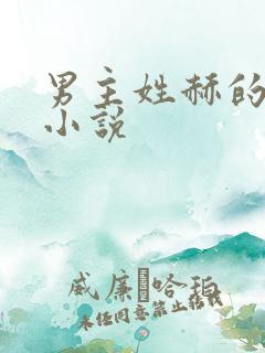 男主姓赫的总裁小说