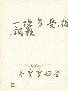 一攻多受,总攻,调教