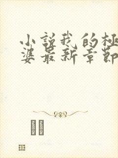 小说我的极品老婆最新章节