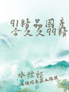 91精品国产综合久久99精品