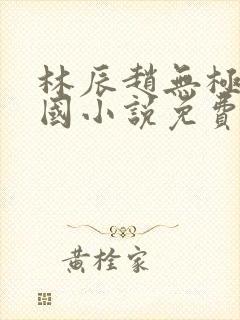 林辰赵无极大魏国小说免费阅读新笔趣阁