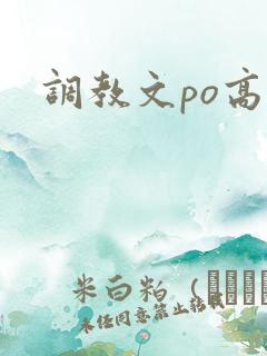 调教文po高h
