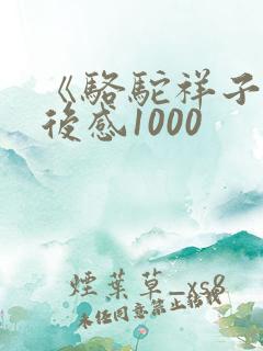 《骆驼祥子》读后感1000