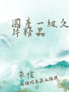 国产一级久久久片精品