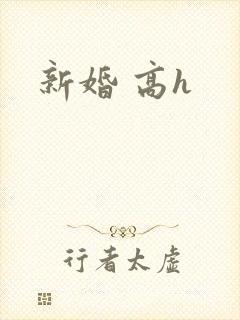 新婚 高h
