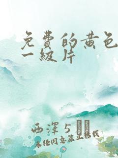 免费的黄色录像一级片