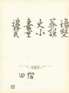 追妻火葬场的高质量小说双男主