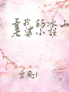 看我的冰山总裁老婆小说