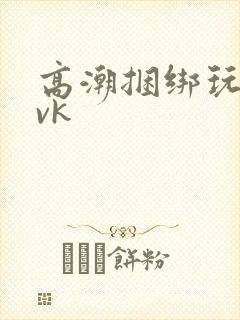 高潮捆绑玩弄丨vk