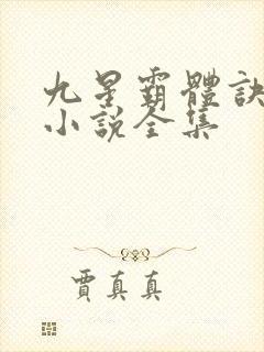 九星霸体诀龙尘小说全集