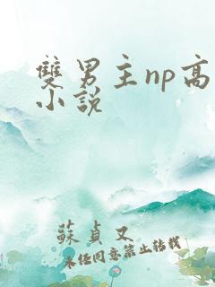 双男主np高h小说