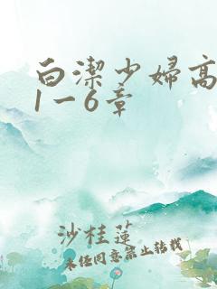 白洁少妇高义第1一6章